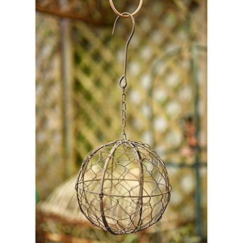 homozy 4Pcs Rustic Ball Metal Cactus Planter Wire Wreath Frame Suc...