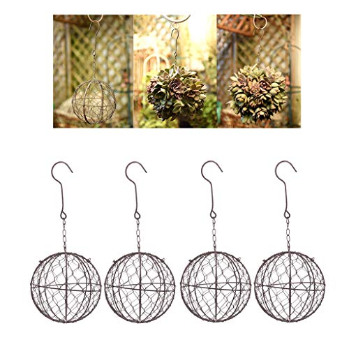 homozy 4Pcs Rustic Ball Metal Cactus Planter Wire Wreath Frame Suc...