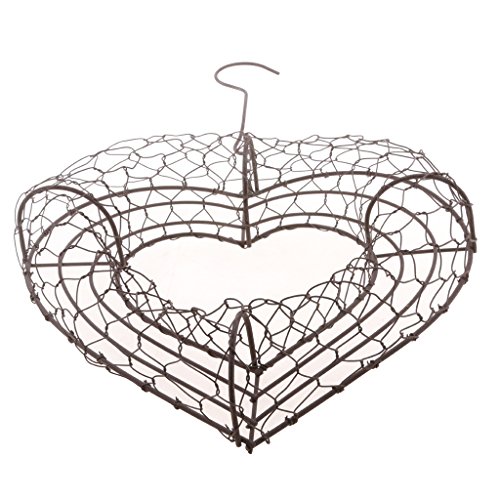 homozy Rustic Metal Cactus Planter Wire Wreath Frame Succulent Pot...