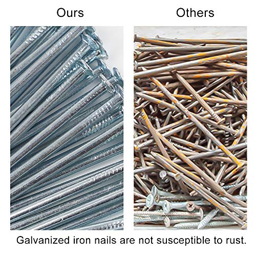 HongWay 1500pcs Hardware Nail Assortment Kit, Galvanized Nails, 12...