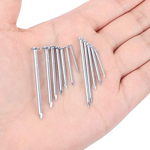 HongWay 1500pcs Hardware Nail Assortment Kit, Galvanized Nails, 12...
