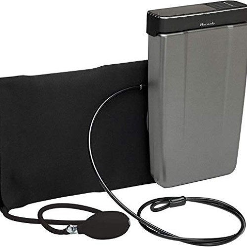 Hornady Rapid Vehicle Safe – Safe for Cars and Trucks, Safely ...