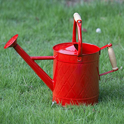 HORTICAN Galvanized Watering Can Modern Style Watering Pot with Ha...