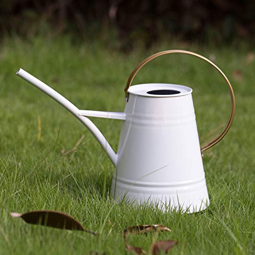HORTICAN Galvanized Watering Can Modern Style Watering Pot with Ha...