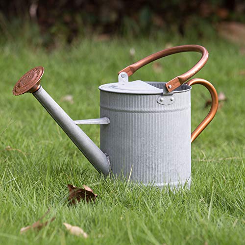 HORTICAN Galvanized Watering Can Modern Style Watering Pot with Ha...