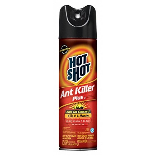 Ant Killer, 16 oz., Aerosol