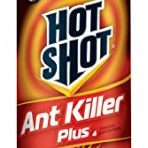 Ant Killer, 16 oz., Aerosol