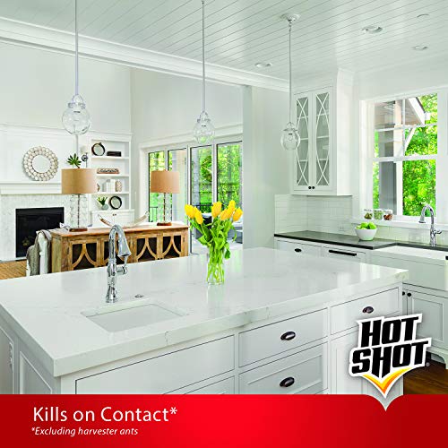 Hot Shot 96782 Ant, Roach & Spider Killer Insecticide, 17.5 oz, Ye...