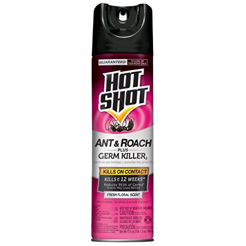 Hot Shot Ant & Roach Plus Germ Killer, Fresh Floral Scent Aerosol,...