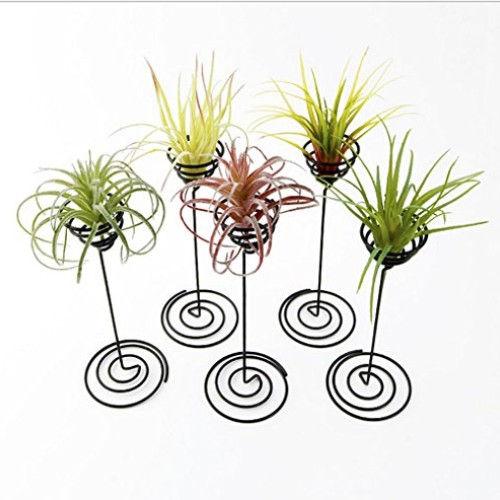 Hotoco air Plant Stand Holder air Plant Base Container Tabletop Pl...