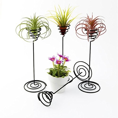 Hotoco air Plant Stand Holder air Plant Base Container Tabletop Pl...