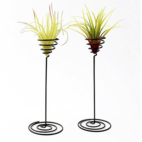 Hotoco air Plant Stand Holder air Plant Base Container Tabletop Pl...