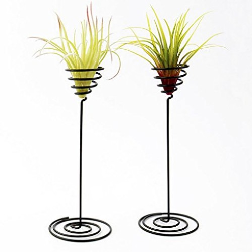 Hotoco air Plant Stand Holder air Plant Base Container Tabletop Pl...