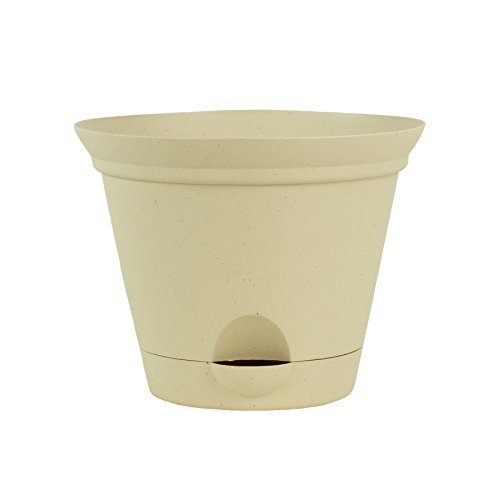 11.5 Inch Latte Quartz Plastic Self Watering Flare Flower Pot or G...