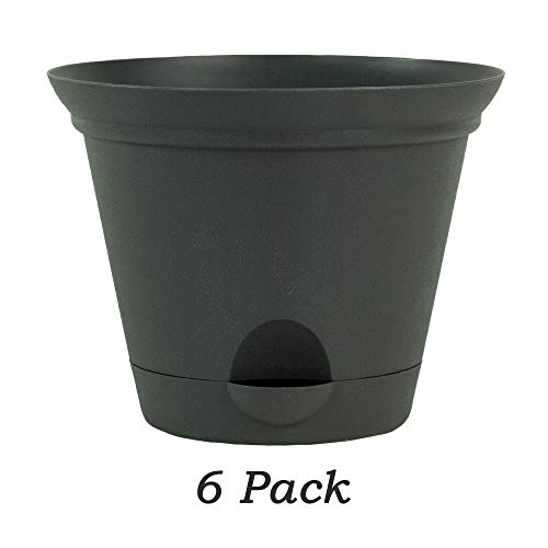 6 Pack 7-in. Flat Gray Plastic Self Watering Flare Flower Pot or G...