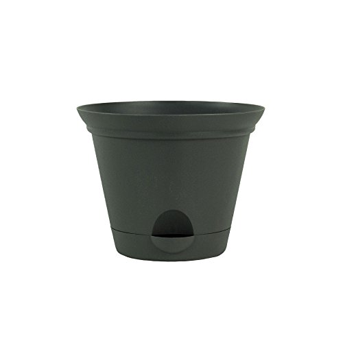 6 Pack 7-in. Flat Gray Plastic Self Watering Flare Flower Pot or G...