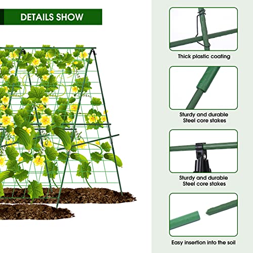 48 x 48Inch Foldable Cucumber Trellis Set, A-Frame Cucumber Trelli...
