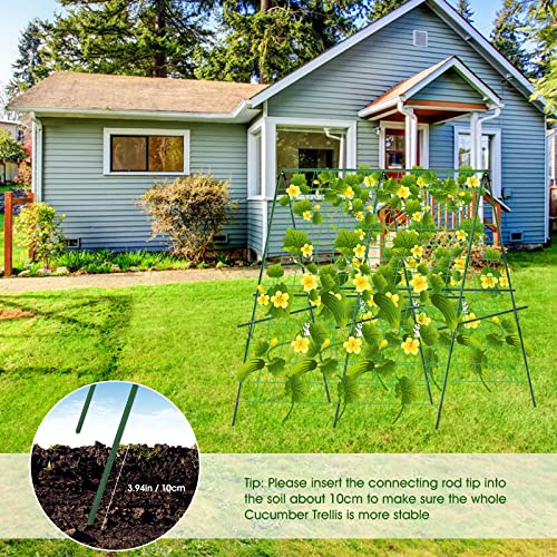 48 x 48Inch Foldable Cucumber Trellis Set, A-Frame Cucumber Trelli...