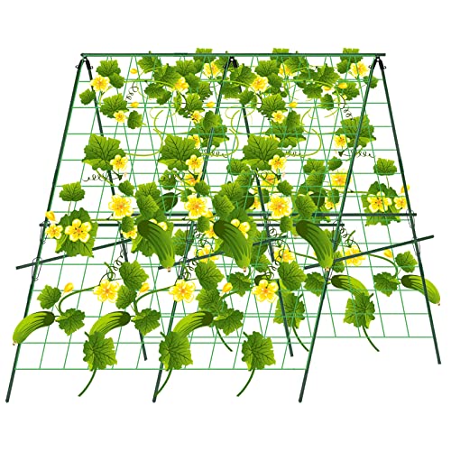 48 x 48Inch Foldable Cucumber Trellis Set, A-Frame Cucumber Trelli...