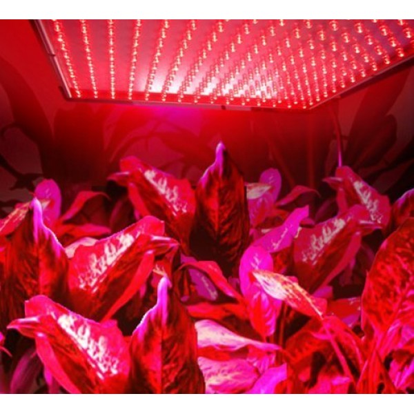 HQRP 660 nm 14W 225 LED Pure Red Grow Light Panel for Growing Flowers... 