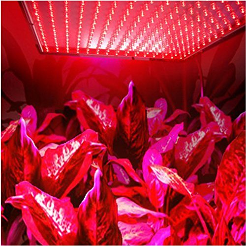 HQRP Pure Red 225 LED Indoor Garden Hydroponic Plant Grow Light Pa...