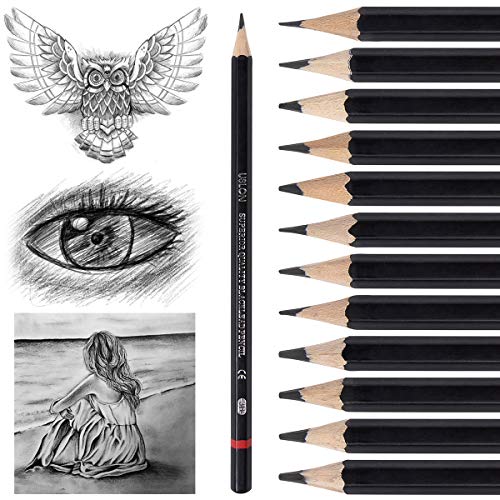 Professional Drawing Sketch Pencils Set of 12, Medium 8B - 2H, A...