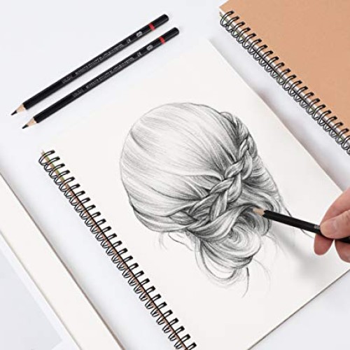 Professional Drawing Sketch Pencils Set of 12, Medium 8B - 2H, A...