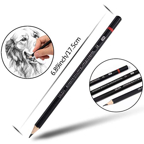 Professional Drawing Sketch Pencils Set of 12, Medium 8B - 2H, A...