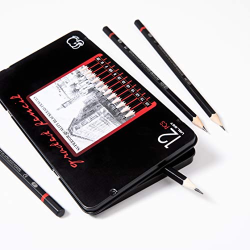 Professional Drawing Sketch Pencils Set of 12, Medium 8B - 2H, A...