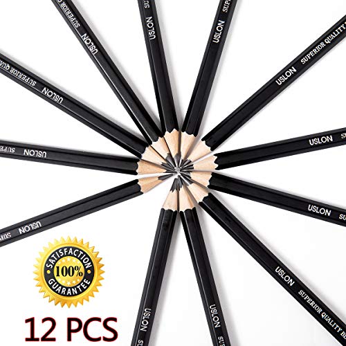 Professional Drawing Sketch Pencils Set of 12, Medium 8B - 2H, A...