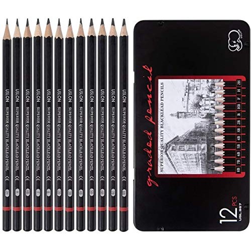 Professional Drawing Sketch Pencils Set of 12, Medium 8B - 2H, A...