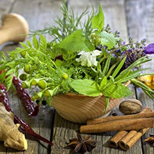 Culinary herb Seed collectlom 15 Individual Packets of Our Most Po...
