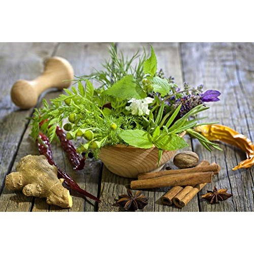 Culinary herb Seed collectlom 15 Individual Packets of Our Most Po...