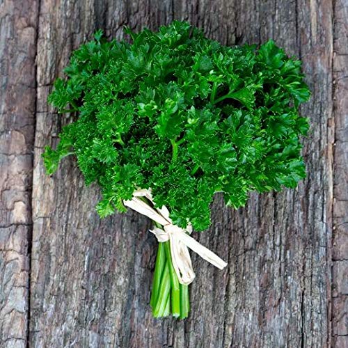 Culinary herb Seed collectlom 15 Individual Packets of Our Most Po...