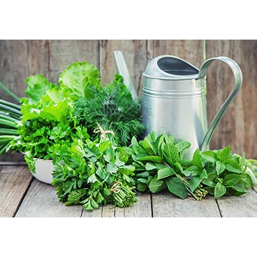 Culinary herb Seed collectlom 15 Individual Packets of Our Most Po...