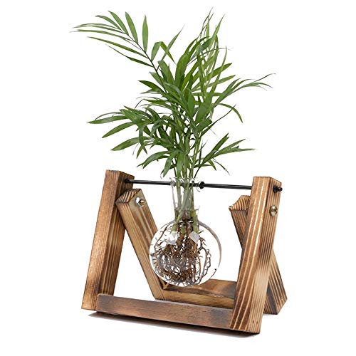 HUABEI Plant Terrarium Wooden Stand, Air Planter Bulb Glass Vase M...