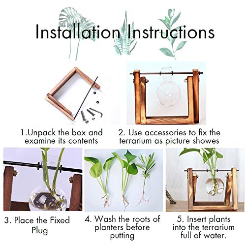 HUABEI Plant Terrarium Wooden Stand, Air Planter Bulb Glass Vase M...