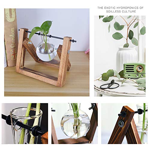 HUABEI Plant Terrarium Wooden Stand, Air Planter Bulb Glass Vase M...