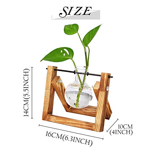 HUABEI Plant Terrarium Wooden Stand, Air Planter Bulb Glass Vase M...