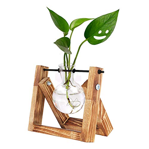 HUABEI Plant Terrarium Wooden Stand, Air Planter Bulb Glass Vase M...