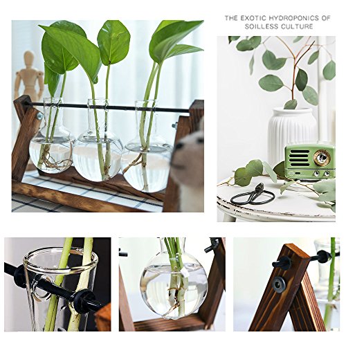 Plant Terrarium with Wooden Stand, Air Planter Bulb Glass Vase Met...