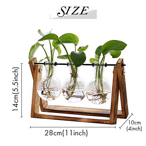 Plant Terrarium with Wooden Stand, Air Planter Bulb Glass Vase Met...