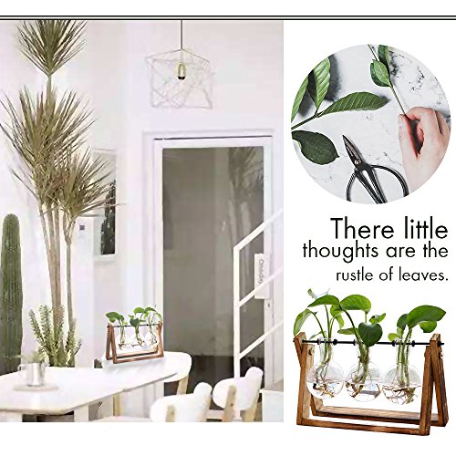 Plant Terrarium with Wooden Stand, Air Planter Bulb Glass Vase Met...