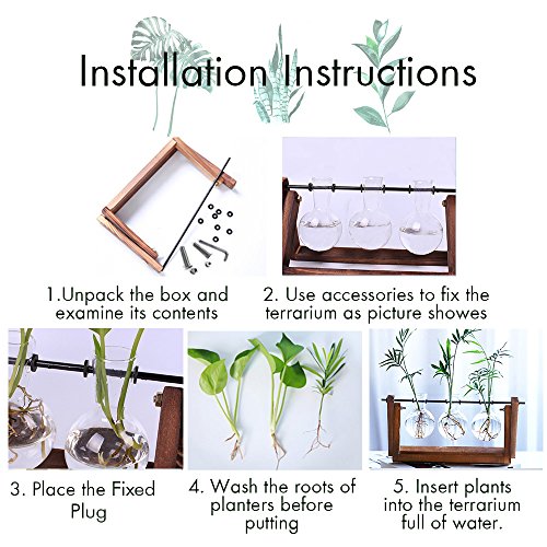 Plant Terrarium with Wooden Stand, Air Planter Bulb Glass Vase Met...