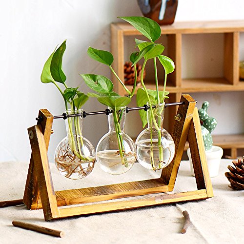 Plant Terrarium with Wooden Stand, Air Planter Bulb Glass Vase Met...