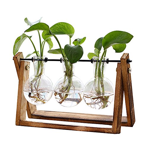 Plant Terrarium with Wooden Stand, Air Planter Bulb Glass Vase Met...