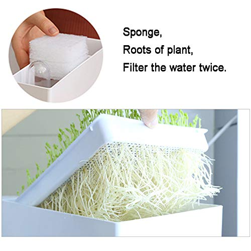 Huamuyu Hydroponic Garden Aquaponic Fish Tank Plants Growing Syste...