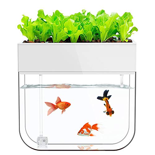 Huamuyu Hydroponic Garden Aquaponic Fish Tank Plants Growing Syste...