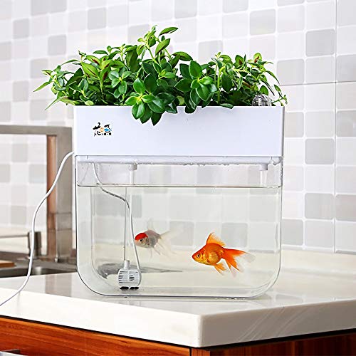 Huamuyu Hydroponic Garden Aquaponic Fish Tank Plants Growing Syste...