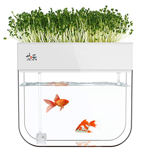 Huamuyu Hydroponic Garden Aquaponic Fish Tank Plants Growing Syste...
